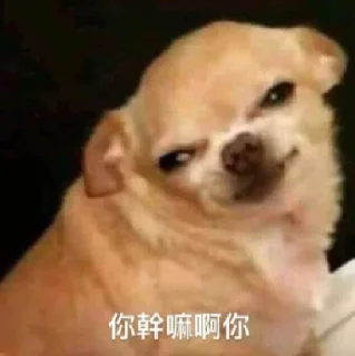 😱 emoji 华人交流群：  @TG_CHone Telegram sticker 6 of 82