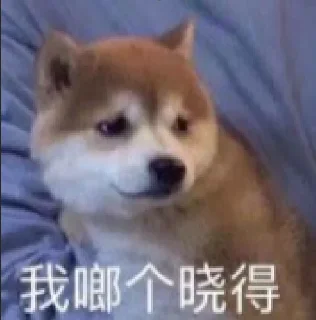 😳 emoji 华人交流群：  @TG_CHone Telegram sticker 14 of 82