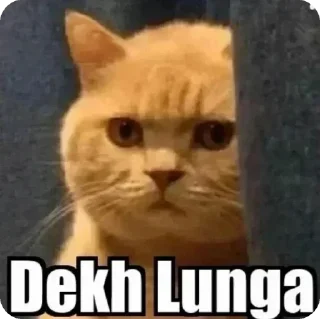 😡 emoji gajju says Telegram sticker 6 of 19