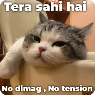 😂 emoji gajju says Telegram sticker 5 of 19