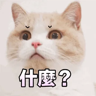 🫠 emoji 福利精选@videosharesex Telegram sticker 6 of 30