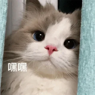 😉 emoji 福利精选@videosharesex Telegram sticker 12 of 30