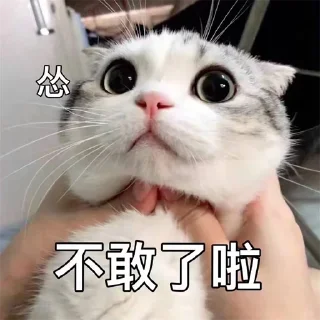 😥 emoji 福利精选@videosharesex Telegram sticker 13 of 30