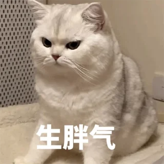 😐 emoji 福利精选@videosharesex Telegram sticker 1 of 30