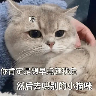 🫤 emoji 福利精选@videosharesex Telegram sticker 24 of 30