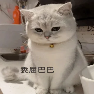 🥺 emoji 福利精选@videosharesex Telegram sticker 16 of 30
