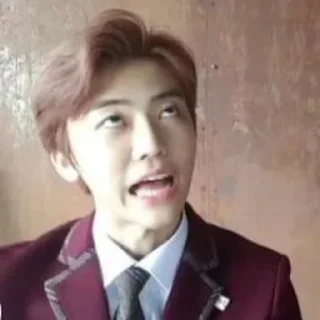 🙈 emoji Na Jaemin Telegram sticker 24 of 25