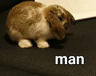 🐰 emoji Man...... Telegram sticker 6 of 27