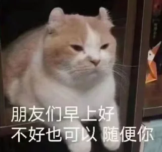 😾 emoji 呆滞 Telegram sticker 24 of 65