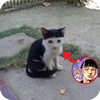 😄 emoji ˙ᵕ˙ @kyoukazaa  𝗓 𐰁 .ᐟ Telegram sticker 5 of 118