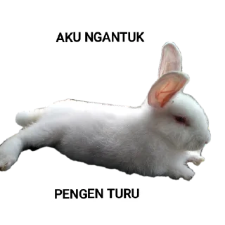 🐾 emoji PUNYA AING Telegram sticker 4 of 120