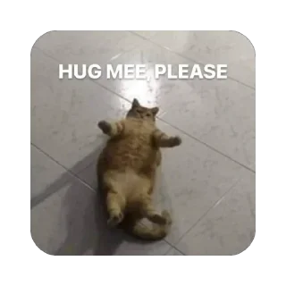🫥 emoji mbohh Telegram sticker 5 of 16