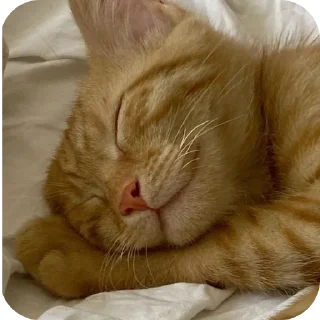 😌 emoji Join 🔥 @Englishs_Chatting_Club Telegram sticker 7 of 80