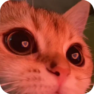 😜 emoji Join 🔥 @Englishs_Chatting_Club Telegram sticker 6 of 80