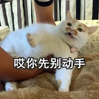 🐱 emoji 参商四号坑 Telegram sticker 23 of 106
