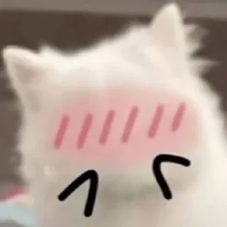 Sticker from 猫猫 更多表情👉 @emo315