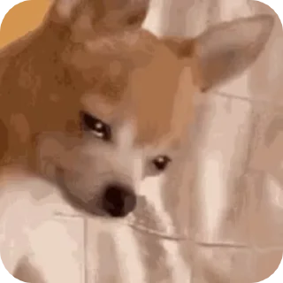 🌟 emoji @shubh_you Telegram sticker 18 of 118