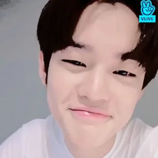 🥡 emoji chenle @ppinkietie Telegram sticker 8 of 40