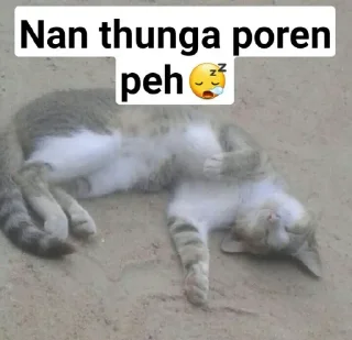 😴 emoji ଘଓ••✿..ꪖɪsʜ..✿••ଘଓ Telegram sticker 9 of 83