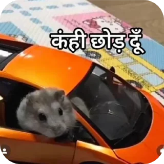 🐱 emoji For Masti Telegram sticker 19 of 110