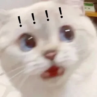 😳 emoji 靚仔 Telegram sticker 17 of 38