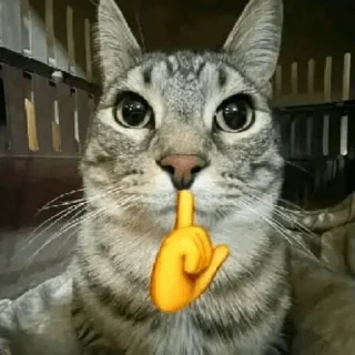 😀 emoji Gatos 🐱🫶🏻 Telegram sticker 13 of 24