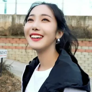 💼 emoji Sinb · @liachy Telegram sticker 11 of 45