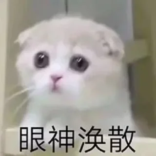 🥺 emoji 小跟班专属❤ Telegram sticker 8 of 15