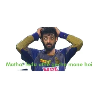 🙂 emoji Phoenix 69 ( cricketer edition) Telegram sticker 5 of 16