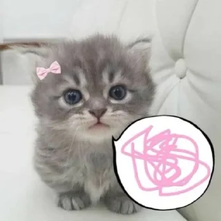 🐱 emoji belongs to amy ♥ @StickersPackRobot Telegram sticker 16 of 120