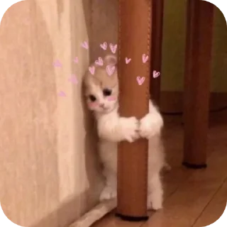 ❤ emoji Cats @telugustickerss Telegram sticker 13 of 21