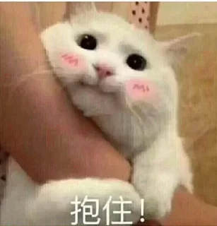 ❤️ emoji 煤球球 Telegram sticker 12 of 120