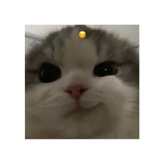 🐱 emoji Indigo skies stickers pack 🪻 Telegram sticker 12 of 39