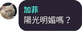 🙂 emoji 加菲 Telegram sticker 21 of 41