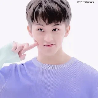 🚁 emoji @inumeowki , mark lee ◡̈ Telegram sticker 8 of 40