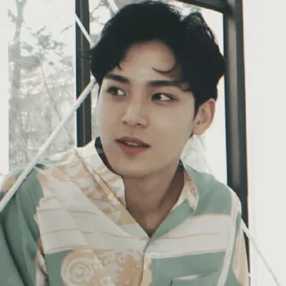 Sticker from MINGYU ┼╌ׄ @PARTNERMU