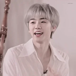 🎻 emoji JAEMIN ┼╌ׄ @PARTNERMU Telegram sticker 12 of 80