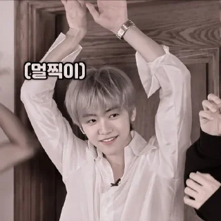 🎻 emoji JAEMIN ┼╌ׄ @PARTNERMU Telegram sticker 23 of 80