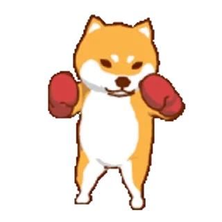 Sticker from 柴犬拳擊俱樂部_kal
