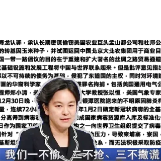 🇨🇳 emoji 中共外交部发言人华春莹 Telegram sticker 18 of 52