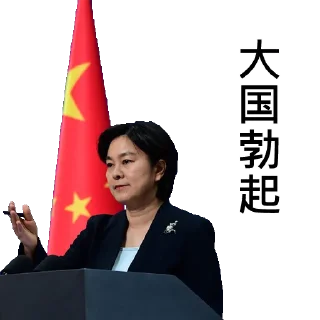 🖕 emoji 中共外交部发言人华春莹 Telegram sticker 15 of 52