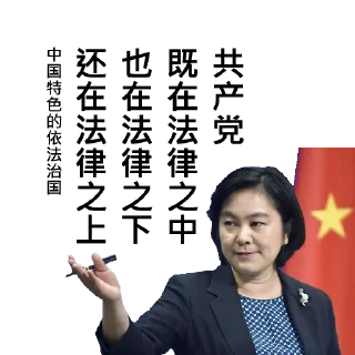 🇨🇳 emoji 中共外交部发言人华春莹 Telegram sticker 24 of 52