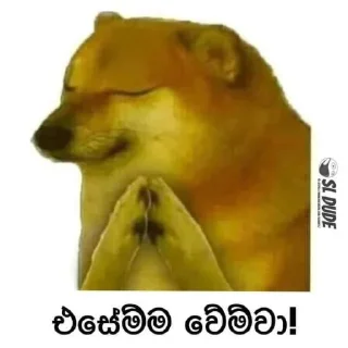 🙏 emoji Memes SL Telegram sticker 12 of 41