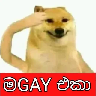 ❤️ emoji Memes SL Telegram sticker 15 of 41