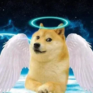 😇 emoji Memes SL Telegram sticker 7 of 41