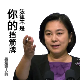 ⚖️ emoji 中共外交部发言人华春莹 Telegram sticker 12 of 52