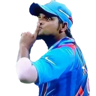 🤫 emoji Cricket @CricketStickerz Telegram sticker 11 of 13