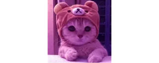 🥺 emoji SAANNJII⚡️@Memes_verse Telegram sticker 22 of 78
