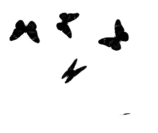 🤍 emoji 𓆩 ֢ ᨦ 𝑒𝑛𝑑𝑙𝑒𝑠𝑠𝑙𝑦𝑝𝑎𝑖𝑛𝒻𝑢𝑙 ᨩ ֢ 𓆪
@endlesslypainful Telegram sticker 21 of 96