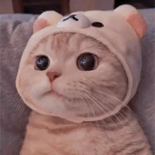 ⭐ emoji Yan pack Telegram sticker 20 of 63